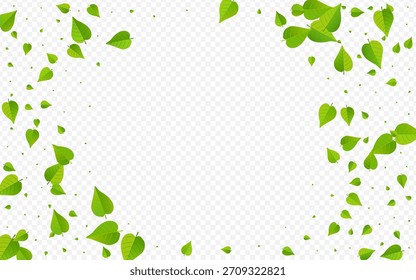 Planta de fondo transparente de Vector volador de hojas verdes. Ilustración de Swirl Greens. Diseño Abstractas del follaje del pantano. Folleto de Viento de Hoja.