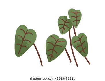 Folhas verdes, folhagem planta com veias vermelhas. Composição folhosa, folha exótica tropical fresca, decoração botânica. Verde, verdura, vegetação. Ilustração de vetor plano isolada no plano de fundo branco