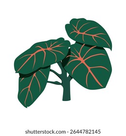 Green leaves, foliage plant with red veins. Leafy composition, fresh tropical exotic leaf, botanical decoration. Greenery, verdure, vegetation. Flat vector illustration isolated on white background