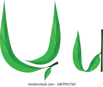 Green Leaves font, Alphabet letters U, Vector illustration.