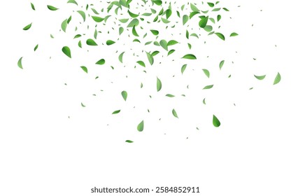 Green Leaves Forest Vector White Background Pattern. Motion Greens Brochure. Grassy Foliage Flying Poster. Leaf Wind Plant.