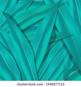 Green leaves form a background on top of which you can make an inscription. Banner for inscriptions and a beautiful green background of leaves.