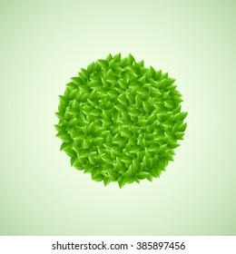 Green leaves in the form of circle.
