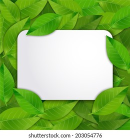 Green Leaves Frame