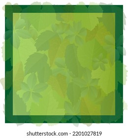 Diseño de fondo de marco de hojas verdes con un estilo realista. Hoja de otoño. Ilustración vectorial colorida aislada en fondo blanco.