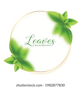 green leaves frame eco background