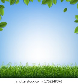 Green Leaves Frame With Green Grass With Blue Background With Gradient Mesh, Vector Illustration