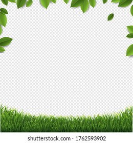 Marco De Hojas Verdes Con Grasa Verde Aislado Fondo Transparente Con Malla De Gradiente, Ilustración Vectorial