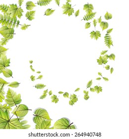 Green leaves frame isolated on white background. EPS 10 vector file included