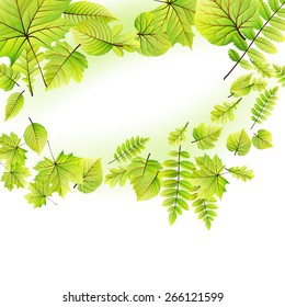 Green leaves frame isolated on white background. EPS 10 vector file included