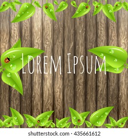 Green leaves frame isolated on wooden background. Vector illustration.