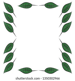 Green leaves frame on the white background