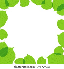Green leaves frame on the white background