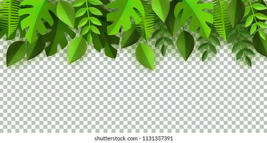 Green leaves frame template with text space on transparent background. Abstract natural decoration pattern. Summer fern monstera paradise resort, holiday vacation, oraganic food vector poster