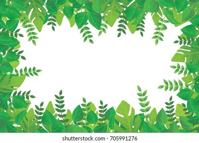 Green Leaves Frame, Tropical Background Vector Illustration