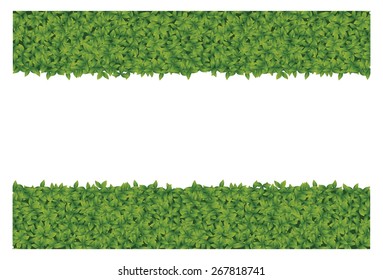 Green leaves frame. Vector  Eco style on white background