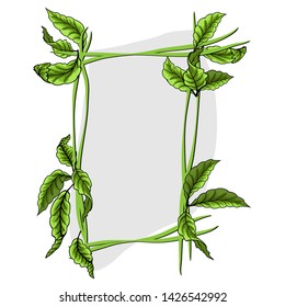 Green leaves with frame. Vector illustration. eps 10