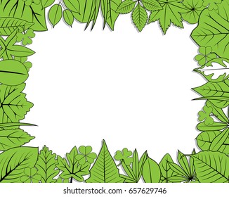 green leaves frame vector, illustration
