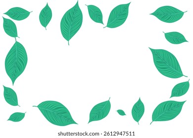 green leaves frame without background