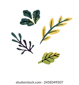 Green leaves. Fresh foliage on twigs of trees. Forest greenery. Flora, grass, plant branches, herbs. Floral decor, botanical decoration. Flat isolated drawing vector illustrations on white background