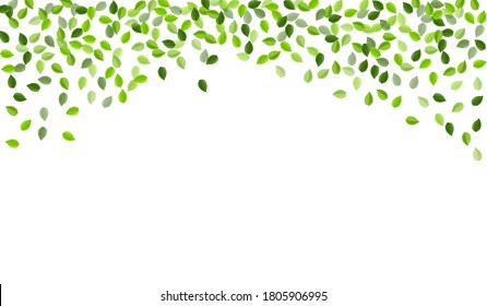 Green Leaves Fresh Vector Design. Realistic Leaf Background. Forest Foliage Blur Wallpaper. Greens Tea Plant.