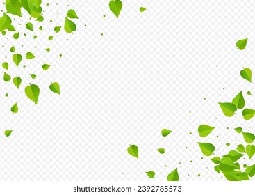 Green Leaves Fresh Vector Transparent Background Illustration. Flying Greens Plant. Forest Leaf Forest Concept. Foliage Transparent Banner.