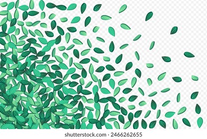 Green Leaves Fresh Vector Transparent Background Concept. Falling Foliage Design. Mint Greens Motion Illustration. Leaf Wind Plant.