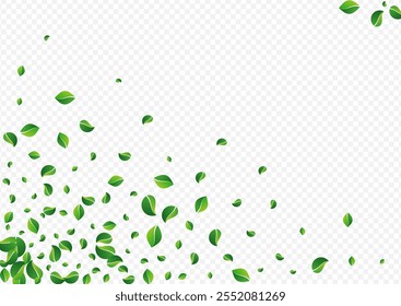 Green Leaves Fresh Vector Transparent Background. Spring Foliage Brochure. Olive Leaf Organic Branch. Greens Motion Concept.