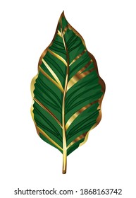 green leaves and gold stem vector illustration design