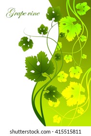 Green leaves, grape