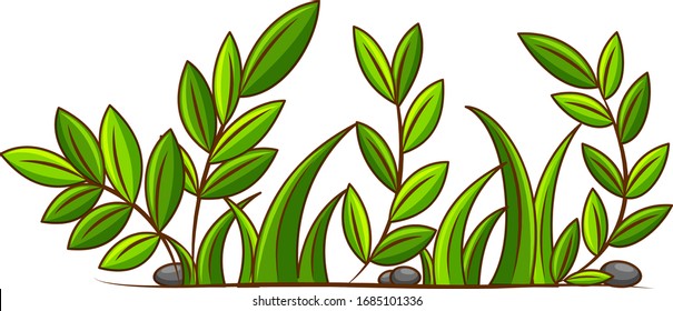 Green leaves and grass in the garden illustration