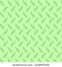 Green leaves hand drawn  patern. Vector herbal, floral, greenery, leaf foliage background. Vector illustration.