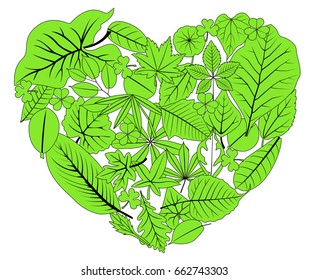 green leaves heart frame, vector, illustration