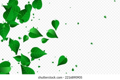 Green Leaves Herbal Vector Transparent Background Brochure. Abstract Foliage Concept. Forest Greens Tea Pattern. Leaf Motion Border.
