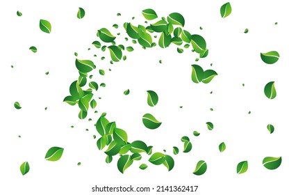 Green Leaves Herbal Vector White Background. Tree Leaf Concept. Forest Greens Abstract Template. Foliage Blur Wallpaper.