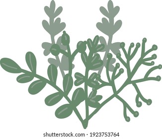 green leaves, herbs, and berries. Vector doodle pictures, stylized grass in different shades of green. Stock illustration.