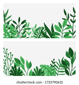 Green leaves and herbs border. Nature plants borders, vector summer garden edge background, botanical wildflowers foliage decoration illustration for banners and wedding invitations