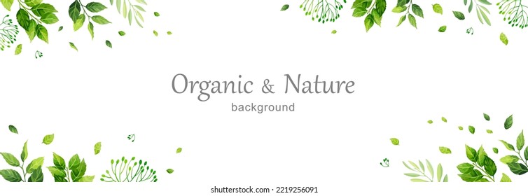 Green leaves horizontal banner. Hand drawn plants, branches, leaves on white background. Natural card or frame. Watercolor style card. Vector illustration.