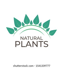 Green leaves horizontal logo. Wreath with text isolated on white background. Simple and stylish. For eco, bio, beauty and green businesses.