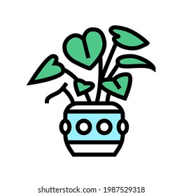 green leaves house plant color icon vector. green leaves house plant sign. isolated symbol illustration