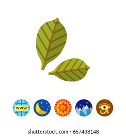 Green leaves icon 2