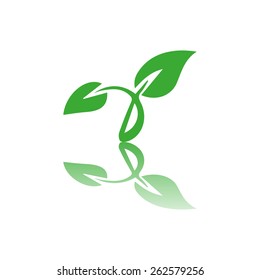 green leaves icon