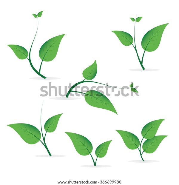Green Leaf Vector Art, Icons, and Graphics for Free Download