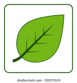 Green leaves icon. Concept Save the Planet. Care of Earth. Ecology design elements. Eco symbol with leaf isolated on white background. Flat style. Organic Bio. Image is a vector illustration