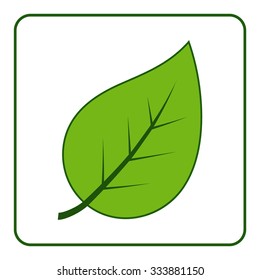 Green leaves icon. Concept Save the Planet. Care of Earth. Ecology design elements. Eco symbol with leaf isolated on white background. Flat style. Organic Bio. Image is a vector illustration