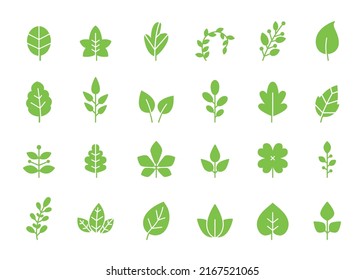 Green leaves icon. Eco leaf, organic growth and sprout vector symbols set. Spring tree foliage, natural plant branches isolated on white. Birch, chestnut, clover minimal objects collection