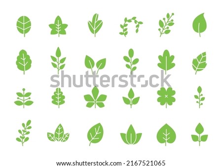 Green leaves icon. Eco leaf, organic growth and sprout vector symbols set. Spring tree foliage, natural plant branches isolated on white. Birch, chestnut, clover minimal objects collection