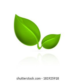 Green leaves icon. EPS10 vector.