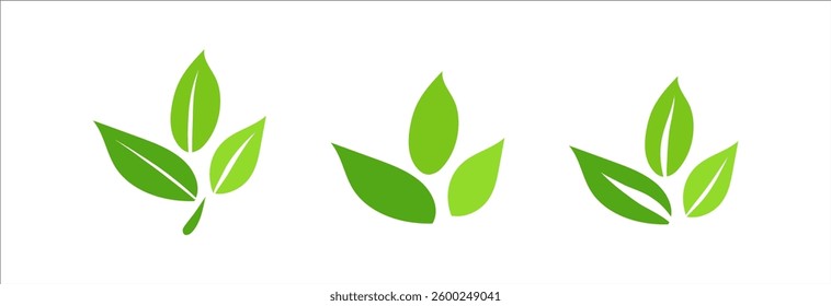 Green leaves icon herb set, simple graphic pictogram illustration, eco friendly organic concept clip art, flat label element for logo, vegan, save energy and self care