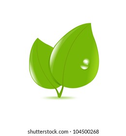 Green Leaves Icon, Isolated On White Background, Vector Illustration